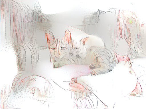 Two Cats